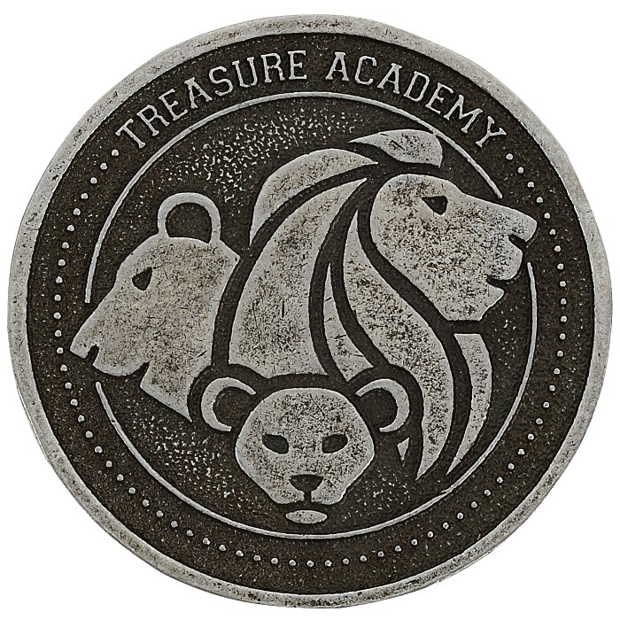 Custom Commemorative Coin - 2